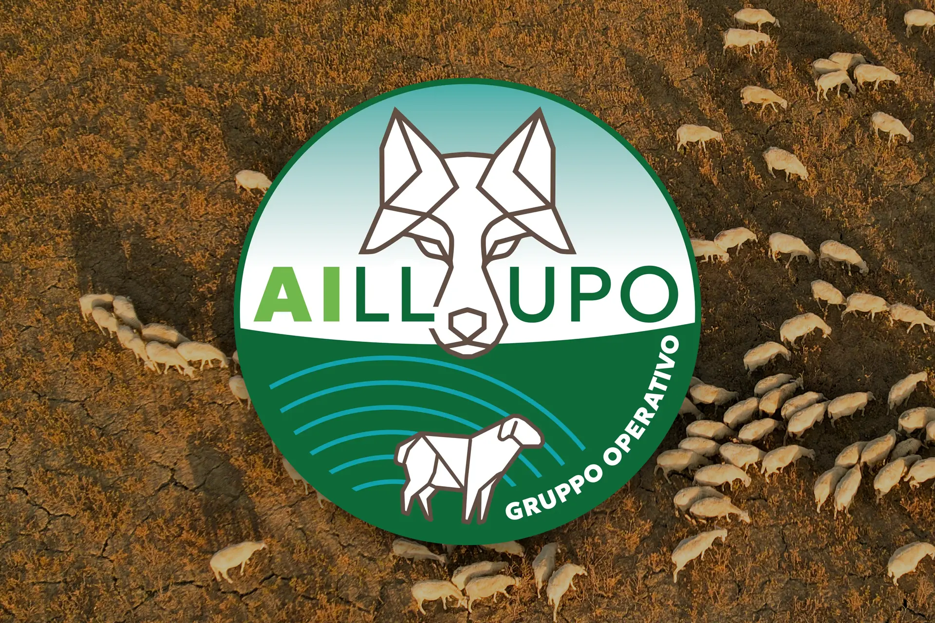 Nuove tecnologie per le aziende ovine toscane. L’AI per l’identificazione del lupo e la prevenzione degli attacchi